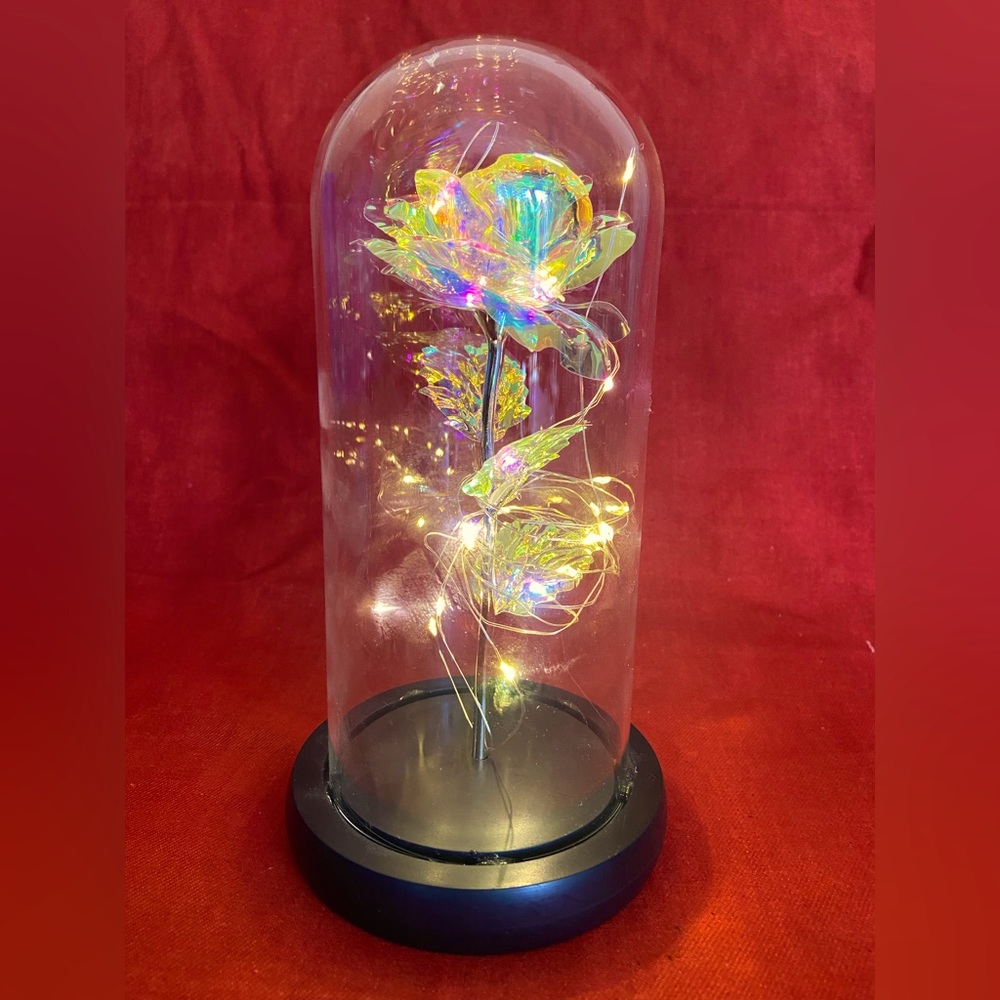 Forever Light up Rose in Glass Dome, Enchanted Rose with LED Lamp, Colorful